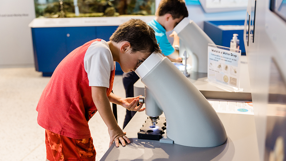 boy looking through a giant microscope