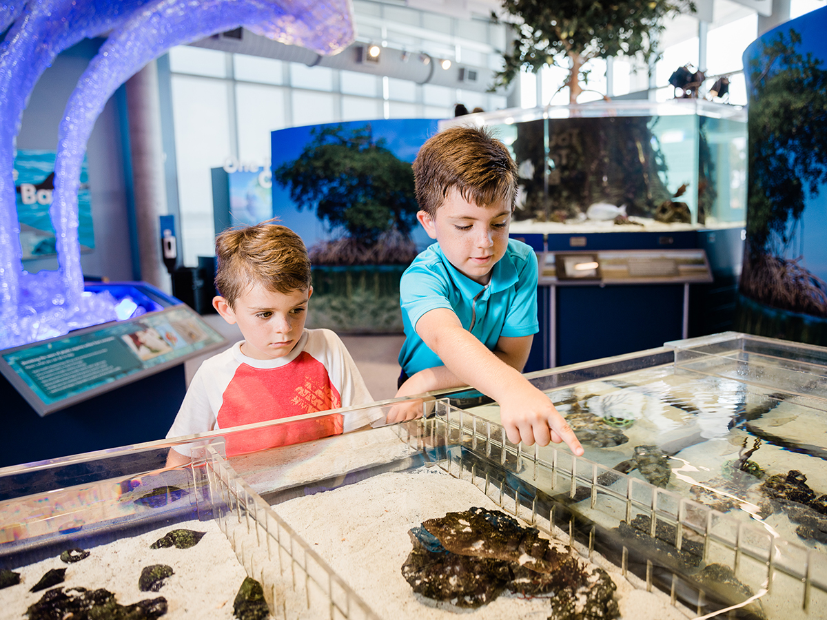 Kids learning in natural history museum